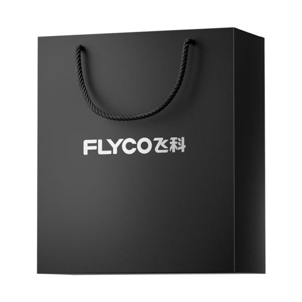 飛科手提袋1號袋